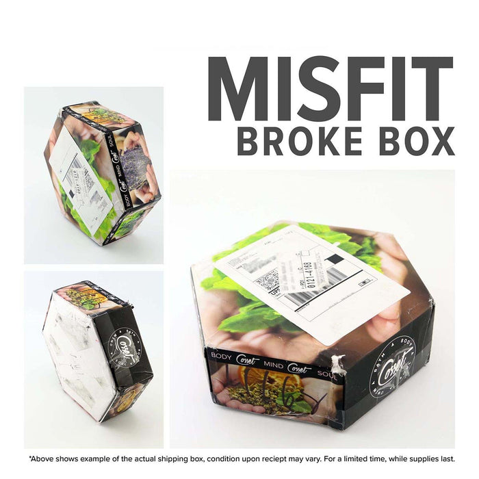 Broke Box - Misfit Therapy Bombs